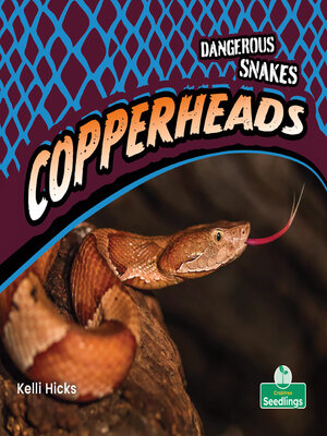 cover image of Copperheads